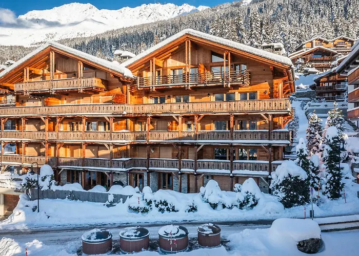 Ayous - By Emerald 베르비에