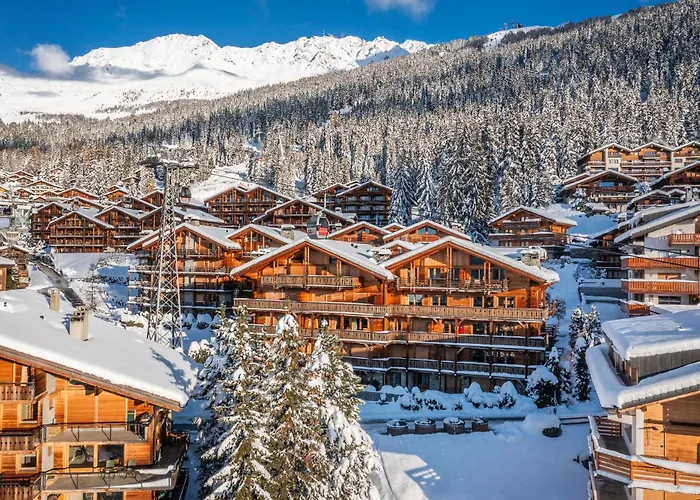 Ayous - By Emerald *